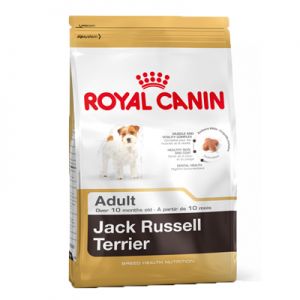 JACK RUSSELL ADULT 500Gr